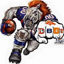 VS01 - D. Broncos Waterproof Vinyl Stickers