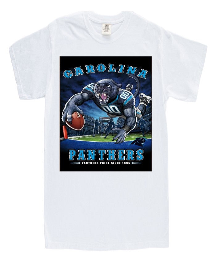 C. Panthers Football Adult & Youth T-shirts