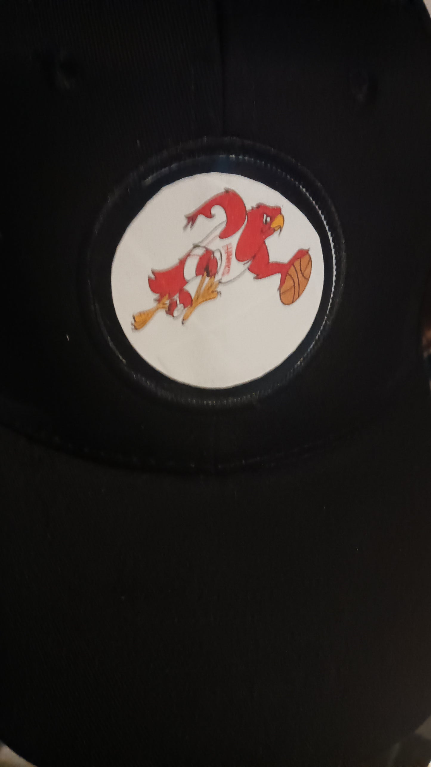 ATL Hawks Unisex Adjustable Baseball Cap
