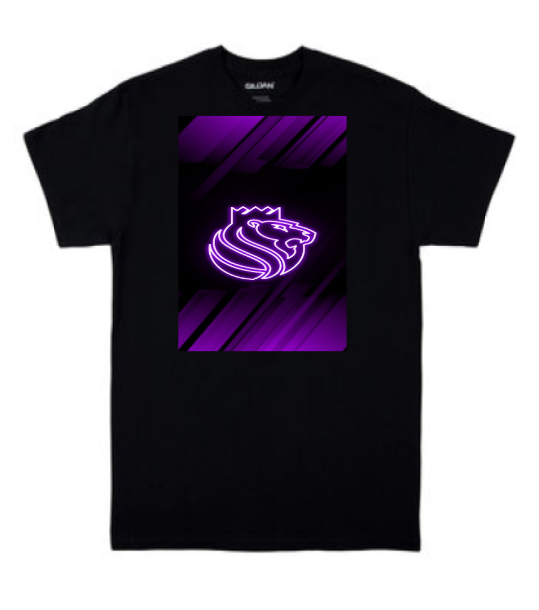 S. Kings Basketball Adult & Youth T-shirts