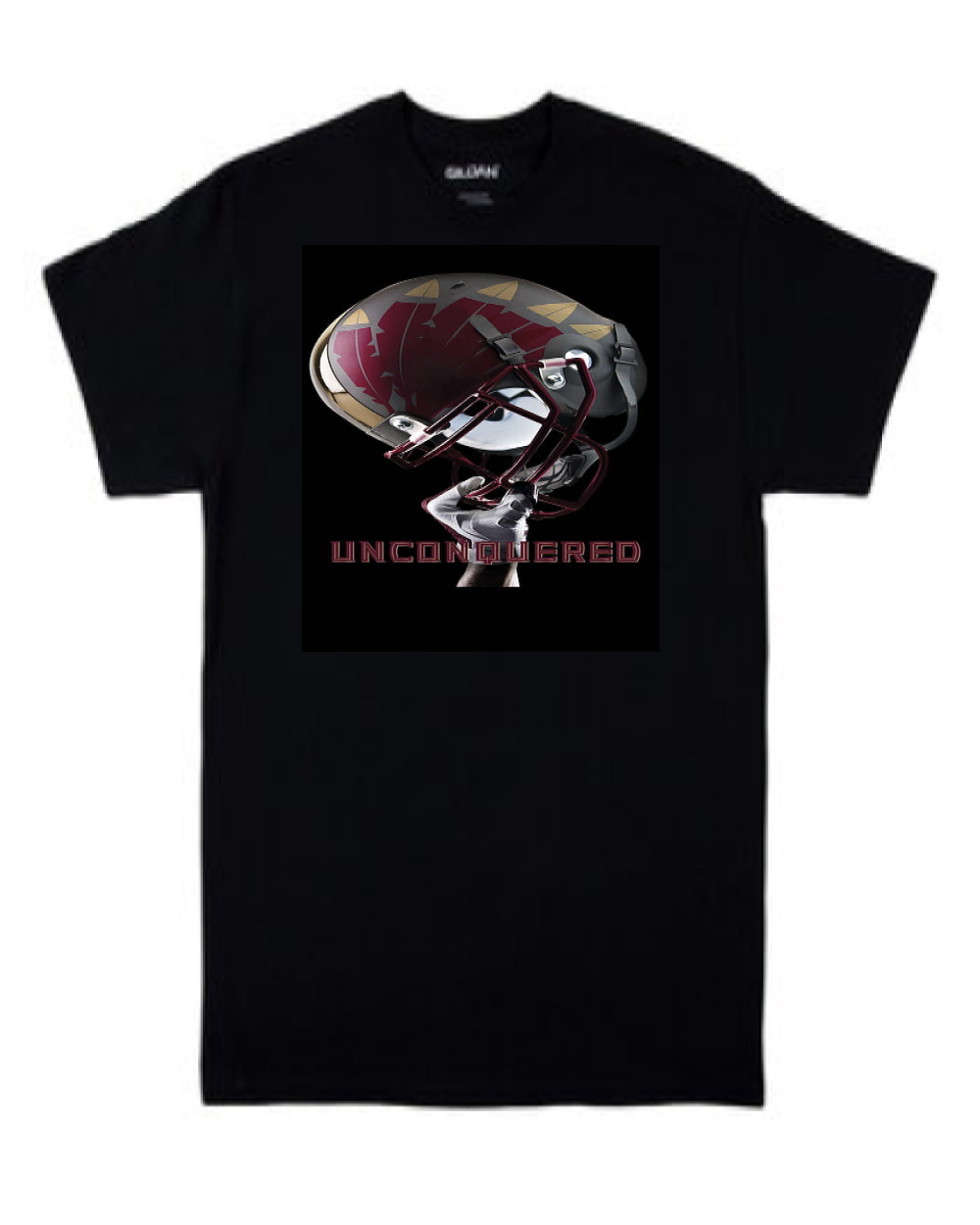 Fl. State Football Adult & Youth T-shirts