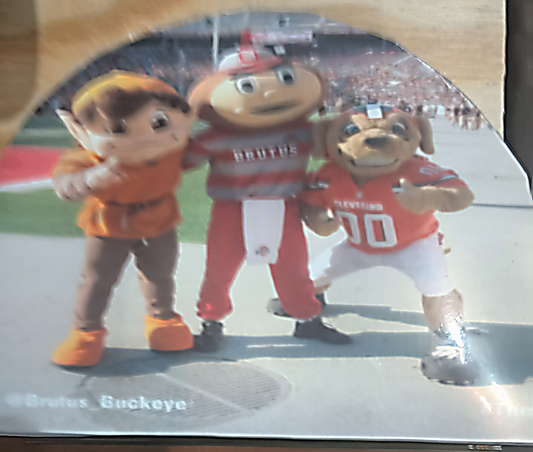 C Brown & OSU Mascots Napkin Holder