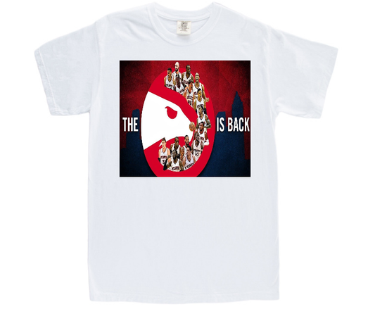 A. Hawks Basketball Adult & Youth T-shirts